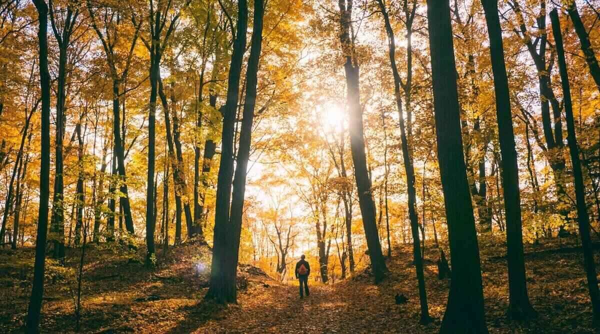 Haz senderismo y da paseos por la naturaleza para disfrutar de los preciosos paisajes otoñales