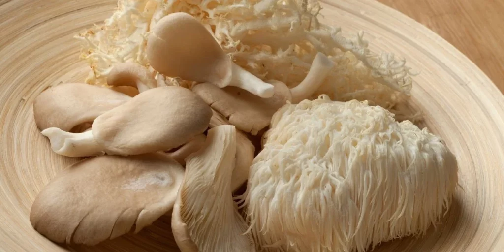 hongos melena de león naturales