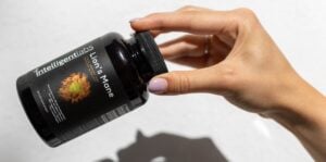 imagen destacada del artículo sobre los hongos melena de león y sus beneficios para la salud cognitiva